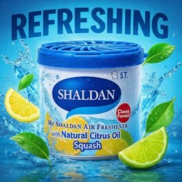 My Shaldan Japan Gel Car Perfume Air Freshener (Squash, 80 g, Citrus)